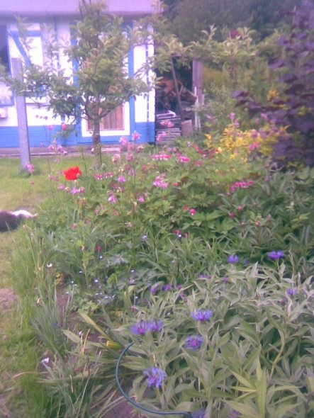 Garten 'Garten'