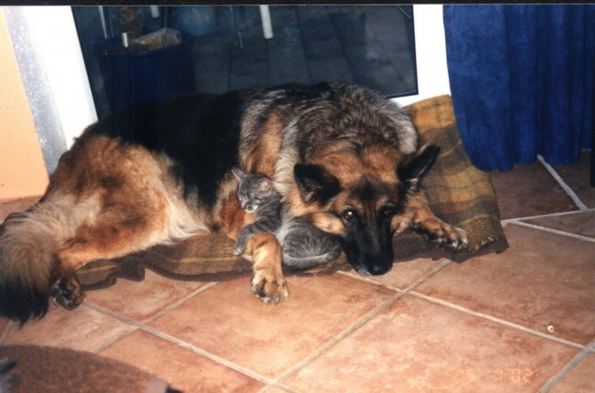 Sandy mit Puschimann