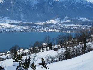Im Paradies