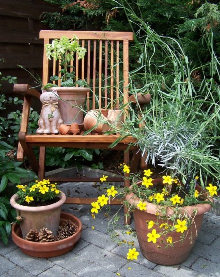 Garten 'Garten 2010'