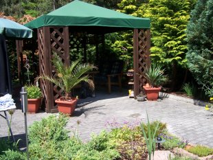 Garten 2010