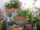 Terrasse / Balkon 'Terasse'