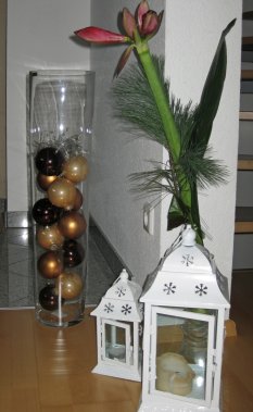 alle Räume 'Es weihnachtet'