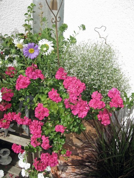 Terrasse / Balkon 'Terasse'