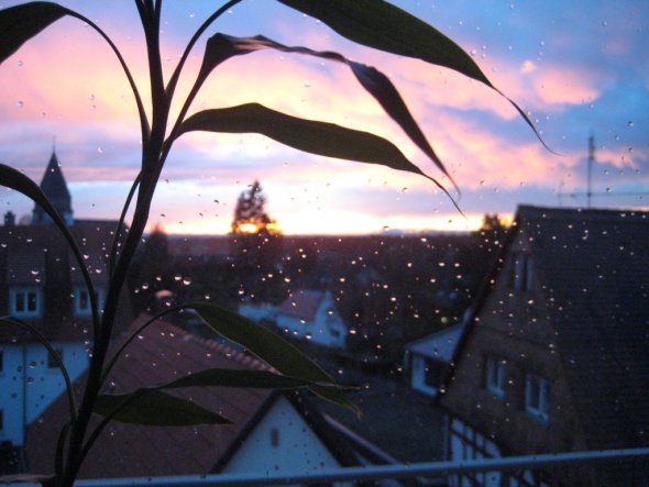 Terrasse / Balkon 'Ausblick'