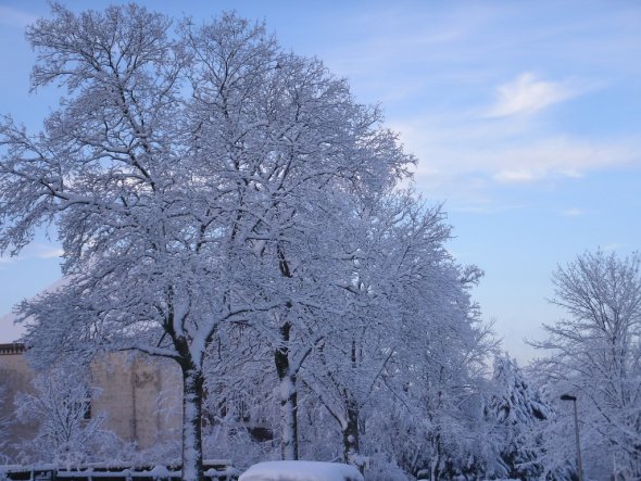 Hausfassade / Außenansichten 'Winter  2010'