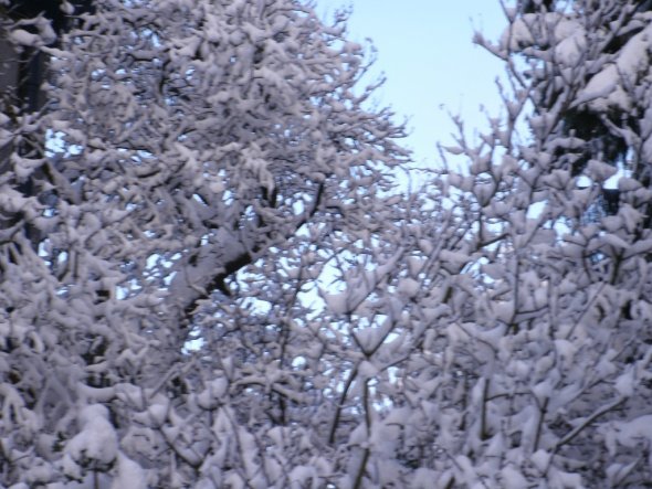 Hausfassade / Außenansichten 'Winter  2010'