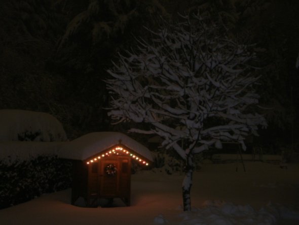 vom Wohnzimmer aus in den Garten