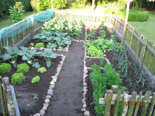 Garten 'Garten + Terrasse'