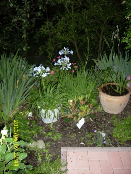 Terrasse / Balkon 'Terrasse bei Nacht Sommer 2011'