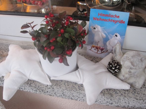 Von Elke habe ich diese witzige Weihnachtskarte erhalten - freu!!!