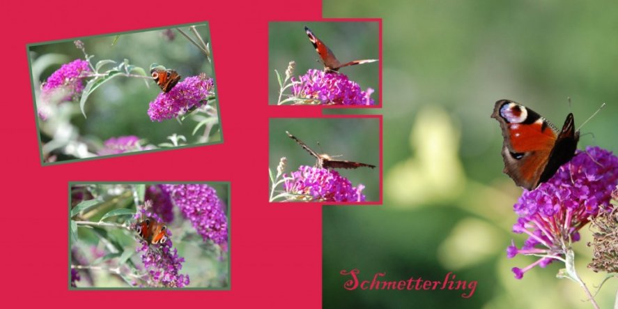 Garten 'NATUR-Schnappschüsse'