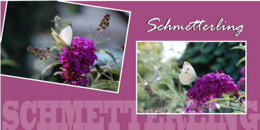 Garten 'NATUR-Schnappschüsse'