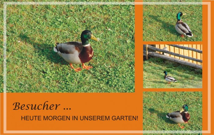 Garten 'NATUR-Schnappschüsse'