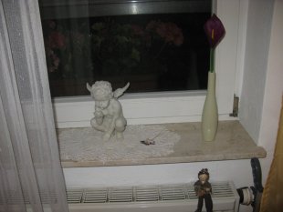 Mein Raum