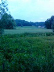 Zimmerschauerin landliebe