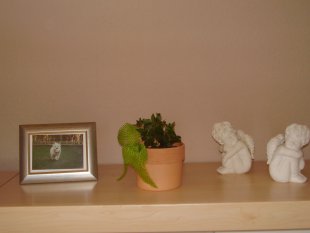 Klassisch 'Wohnzimmer'