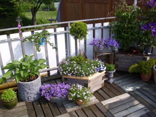 Terrasse / Balkon 'Dachterrasse 2011'