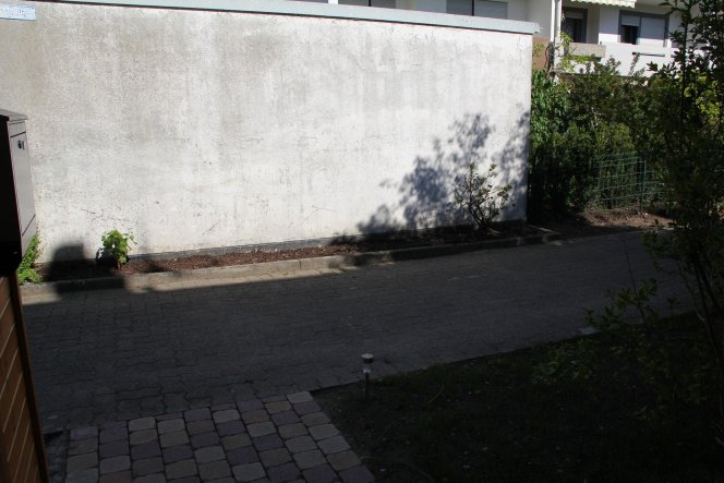 (12.05.12) Um die Garagenwand der nächsten Hausreihe zu kaschieren, haben wir hier Reben gepflanzt.