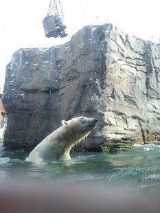 Ausflug Hannover Zoo