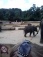 Hobbyraum 'Ausflug Hannover Zoo'