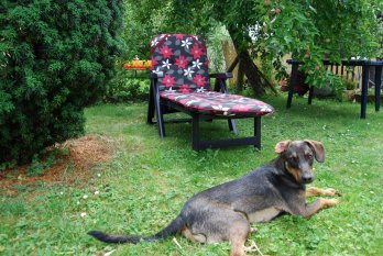 alle Räume 'Mein Gartenprojekt'