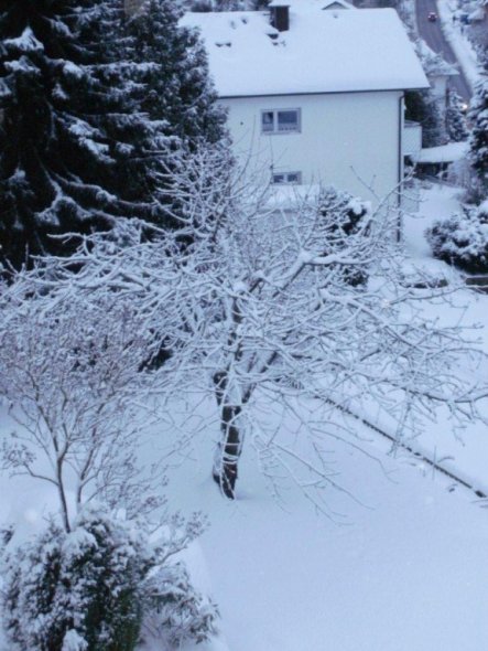 Hausfassade / Außenansichten 'Winterwonderland'