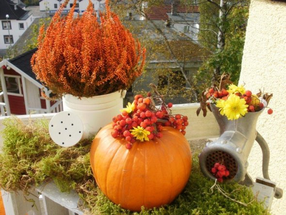 Terrasse / Balkon 'ღGoldener Herbst 2011ღ'