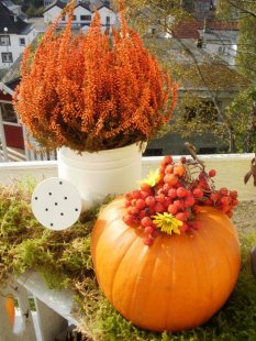 Terrasse / Balkon 'ღGoldener Herbst 2011ღ'