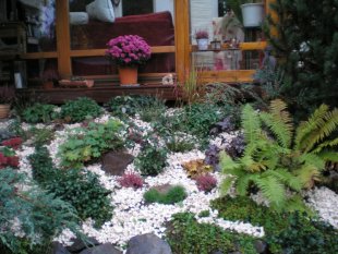 alle Räume 'Garten'