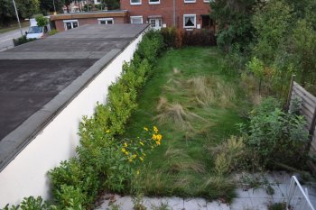 alle Räume 'der alte Garten'