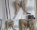 ....dieses Engelsflügelkissen aus antikem Leinen von 1851 ist gross genug, dass es genau um den Nacken paßt - ähnlich einer Nackenrolle.