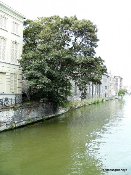 Dieses Bild ist eines meiner liebsten Erinnerungen aus GEnt - es zeigt, wie schön und friedlich es dort ist, obwohl eine grosse Stadt ist.