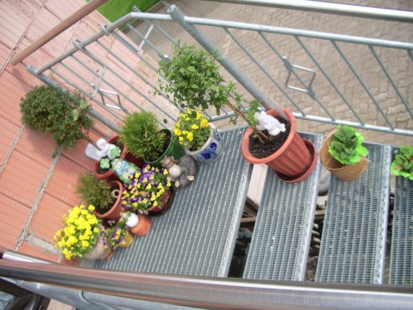 Terrasse / Balkon 'Garten/ Balkon'