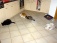 Katzenmama