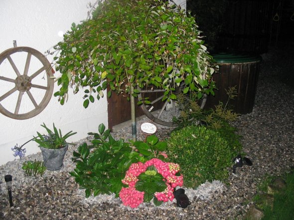 Garten 'Mein Garten'