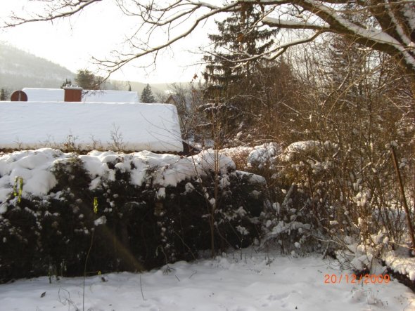 Garten 'Winterimpressionen'