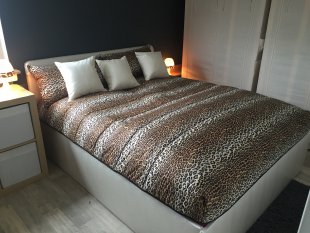 Unser Leoparden - Nestchen 