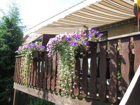 Balkon, die Treppe die in den Garten führt haben wir nachträglich bauen lassen, sieht mal leider auf dem Bild nicht, ich stehe gerade drauf :-)