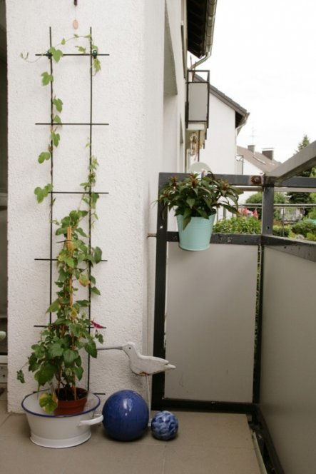 Terrasse / Balkon 'Balkon'