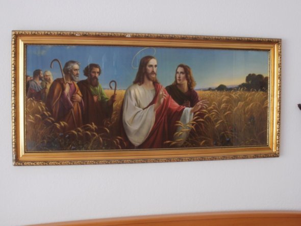 Dieses Bild "Jesus im Kornfeld" hing damals schon bei meiner Oma über dem Bett