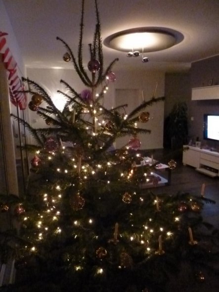 Deko 'Weihnachten/Sylvester 2010'