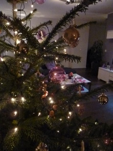 Deko 'Weihnachten/Sylvester 2010'