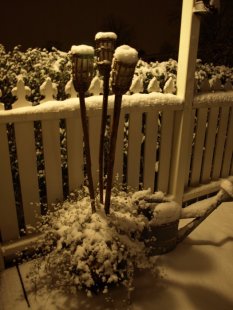 Terrasse / Balkon 'Winterterasse'