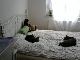 Schlafzimmer