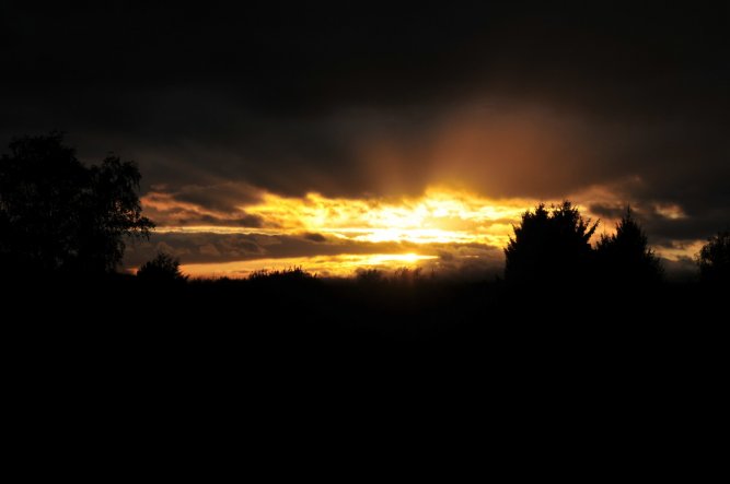 Ein Blick am Abend aus meinem Küchenfenster