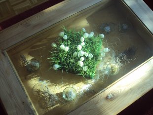 Wohnzimmer 'Wohnzimmer'