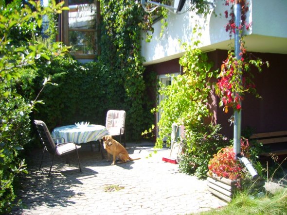 terrasse der Ferienwohnung