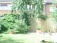 Terrasse / Balkon 'unsere Oase'