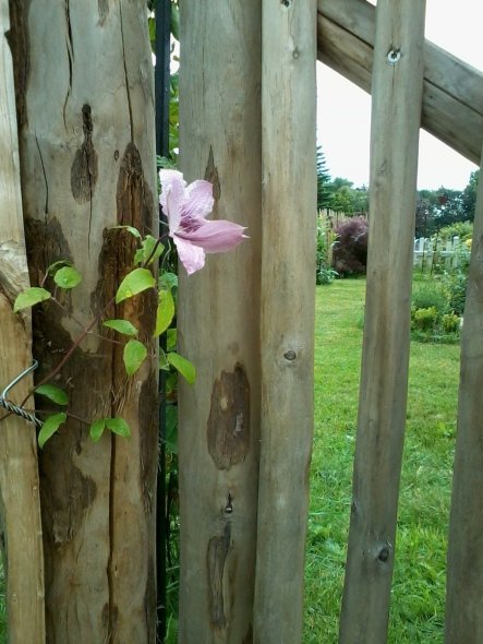 Garten 'Gartenimpressionen'